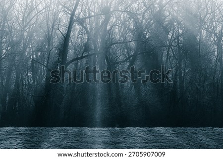 A misty forest with bare trees and sunlight streaming through, creating an ethereal atmosphere.