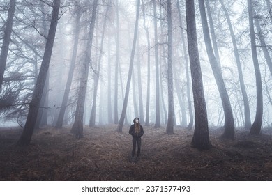 Misty forest covered in fog with twisted trees and woman standing in background - Powered by Shutterstock