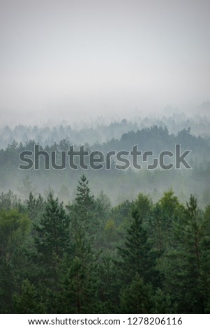 Similar – Foto Bild Nebliger Wald mit einem Licht in der Ferne, Zermatt, Schweiz