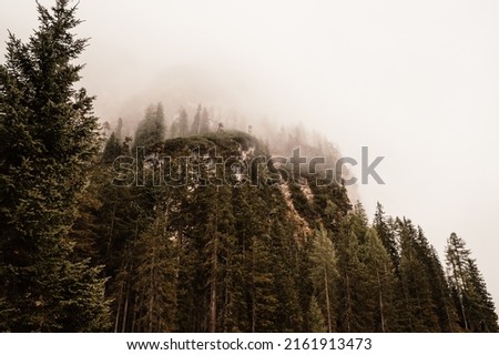 Misty forest. Foggy mountain landscape, Dolomites mountains, lago di braies, Sudtirol, Italy.