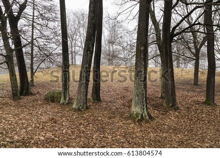 Similar – forest stage Environment