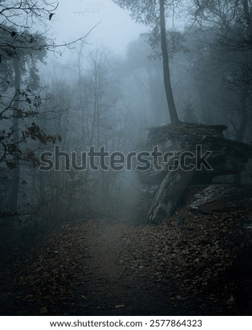 A misty forest path surrounded by bare trees and rocky formations, creating an eerie and mysterious atmosphere.