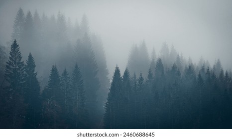 A misty forest with trees covered in fog. The atmosphere is serene and peaceful, with the fog creating a sense of mystery and calmness. The trees are tall and dense - Powered by Shutterstock