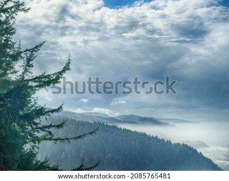 Misty forests and Pacific Ocean seen from Cape Perpetua, near Yachats, Oregon coast Foto d'archivio © 