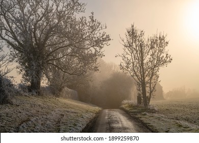 Misty And Frosty Lane In The North Cotswolds, England.