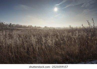 Misty frosty morning over a serene rural field with bare trees a - Powered by Shutterstock