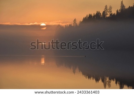 Misty golden sunset over a lake in Eastern Finland with a silhuette of black throated loon passing by