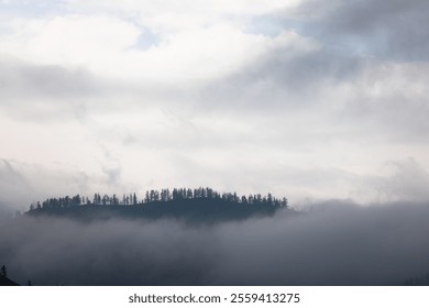 Misty grey landscape with row of silhouettes tree on top of mountains range covered by heavy fog above overcast sky. Thick mist hidden slope of the mountain - Powered by Shutterstock