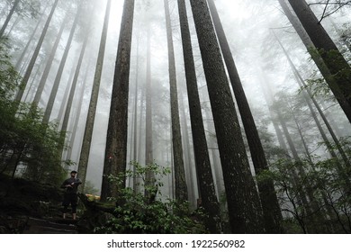 Misty Grouse Grind In Vancouver