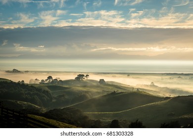 Misty Hills