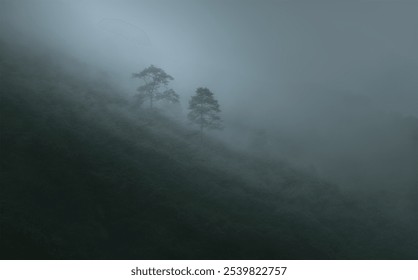 Misty hillside with pine trees shrouded in fog, creating a mysterious and serene atmosphere. - Powered by Shutterstock