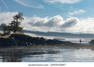 Misty island scene with lone tree and clouds closeup - Powered by Shutterstock