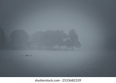 A misty lake with a group of ducks swimming and trees in the background creating a serene and calm atmosphere - Powered by Shutterstock