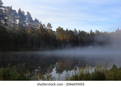 Misty lake at Tiveden National Park. Beautiful view, looks magic. Great nature during the month of September. Sweden, Scandinavia, Europe.