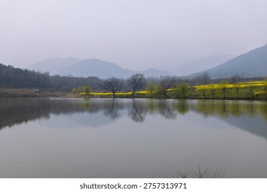Misty lakeside rapeseed fields with distant ink-wash mountains reflected in still water — a poetic Jiangnan spring landscape rendered in serene, painterly tones