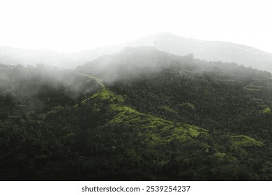 Misty Landscape Featuring Lush Green Hills And Mountains, Shrouded In Fog To Create A Serene And Tranquil Atmosphere. - Powered by Shutterstock