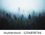 Misty landscape with fir forest in hipster vintage abstract retro style