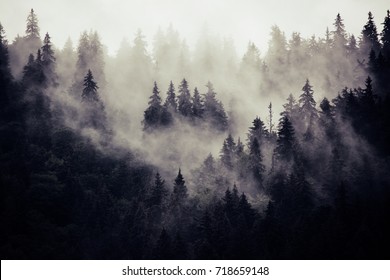 Misty landscape with fir forest in hipster vintage retro style - Shutterstock ID 718659148
