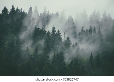 Misty landscape with fir forest in hipster vintage retro style - Shutterstock ID 783826747