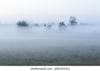 Misty landscape in Flanders, Belgium