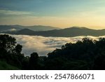 Misty landscape with forest. Foggy clouds above tree. Panoramic mountain in deep countryside at Thailand. nature background