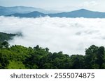 Misty landscape with forest. Foggy clouds above tree. Panoramic mountain in deep countryside at Thailand. nature background.