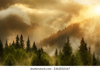 Misty landscape with mountains and fir forest in hipster vintage retro style - Powered by Shutterstock