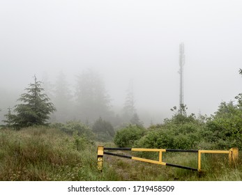 Misty Lanscape Near Bantry, Ireland