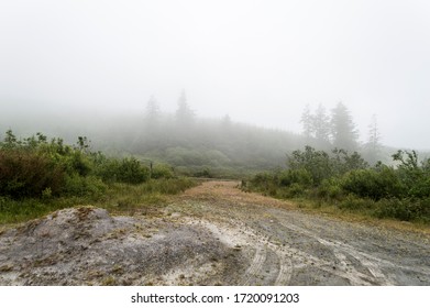 Misty Lanscape Near Bantry, Ireland