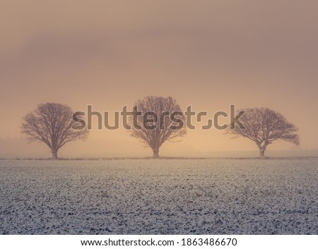 A misty lanscape with a snowfall during the sunrise. Rural lanscape of snowstorm in the morning. Misty, obscured look of the sunrise view through the falling snow.