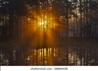 Misty morning by the lake, rising sun behind the trees.