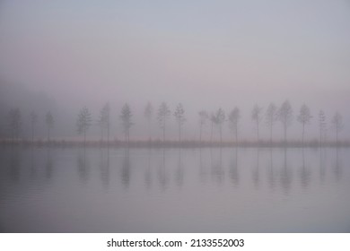 misty morning by a river at a reststop in norway