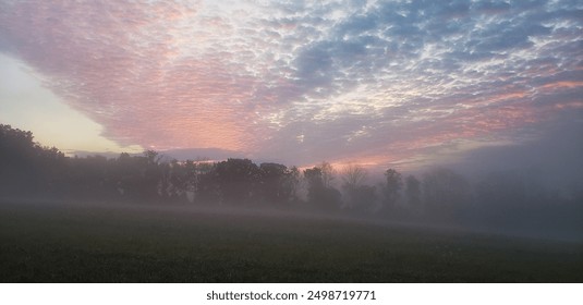 Misty morning country field sunrise - Powered by Shutterstock