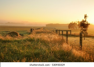 Misty Morning In The Countryside Of Australia