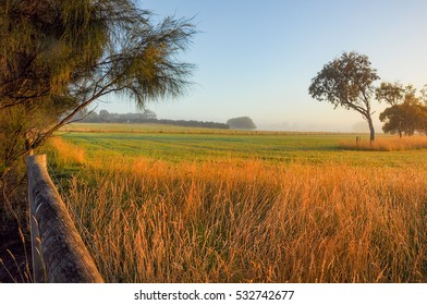 Misty Morning In The Countryside Of Australia