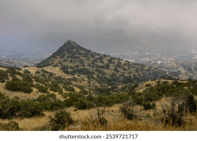 Misty Morning in Dakka Mountains, Taif, Saudi Arabia with Lush Greenery and Rolling Hills. Taif Saudi Arabia. Oct 25, 2024 - Powered by Shutterstock