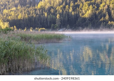 Misty morning fog over east bank of alpine lake Weissensee in Gailtal Alps, Carinthia, Austria. Remote wooden cabin in serene landscape amidst untouched nature in summer. Scenic Lakeside Retreat - Powered by Shutterstock