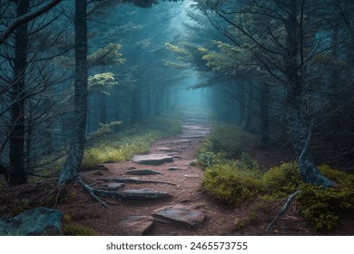 Misty Morning Hike through Dense Forest, Exploring the Enchanted Mountain Path - Powered by Shutterstock