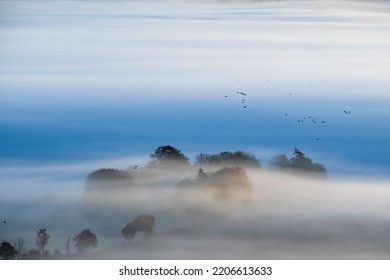 Misty Morning Light With A Bird Flock