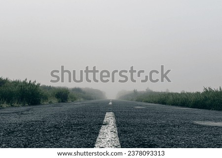 Misty Morning: Lonely Road Stretching Through Foggy Madeira Landscape