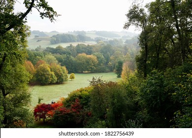 Misty Morning With Lovely Autumn Colour, National Trust Winkworth Arboretum