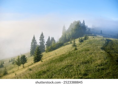 Misty morning in mountain valley. Layers of fog drift through lush green forests, creating serene and mystical atmosphere. Distant hills and peaks rise majestically under clear blue sky. - Powered by Shutterstock