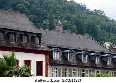 Misty Morning in the Old Town of Heidelberg, Baden - Württemberg - Powered by Shutterstock