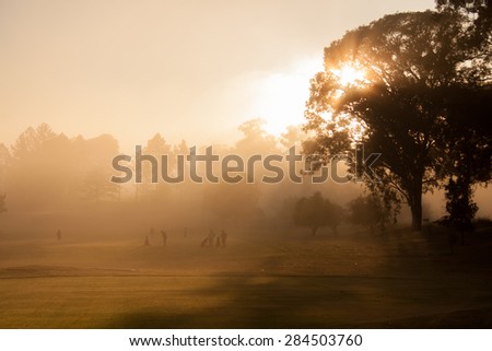 A misty morning on the golf course, as the sun rises from behind a tree.