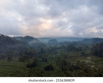 A misty morning over lush green rice terraces surrounded by dense forest. - Powered by Shutterstock