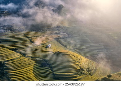 Misty Morning Over Terraced Rice Fields in Mu Cang Chai, Vietnam – Serene Landscape with Sunlit Valleys and Rolling Mountains, Ideal for Nature and Travel Themes - Powered by Shutterstock