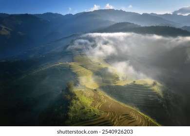 Misty Morning Over Terraced Rice Fields in Mu Cang Chai, Vietnam – Serene Landscape with Sunlit Valleys and Rolling Mountains, Ideal for Nature and Travel Themes - Powered by Shutterstock