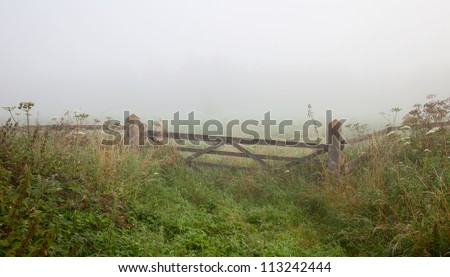 Similar – Image, Stock Photo Misty November Environment