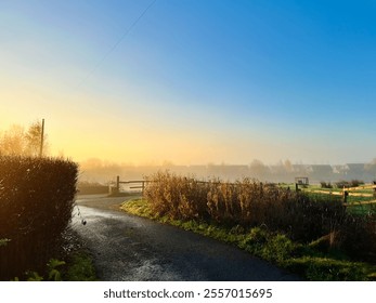 Misty Morning Path with Golden Sunrise Glow - Powered by Shutterstock