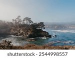 Misty Morning at Point Lobos State Park